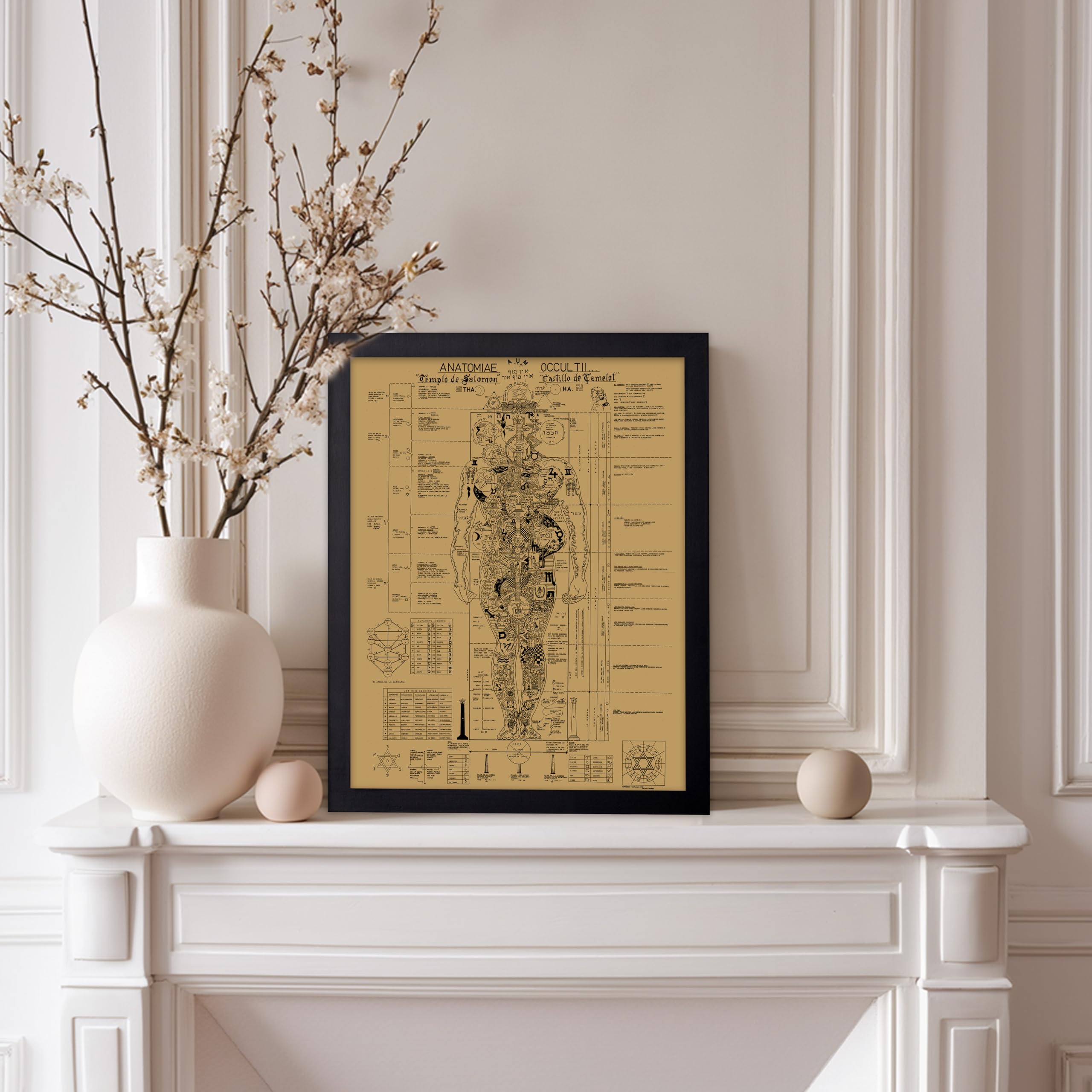 Amazon.com: Poster Master Vintage Anatomy Poster - Retro Occult